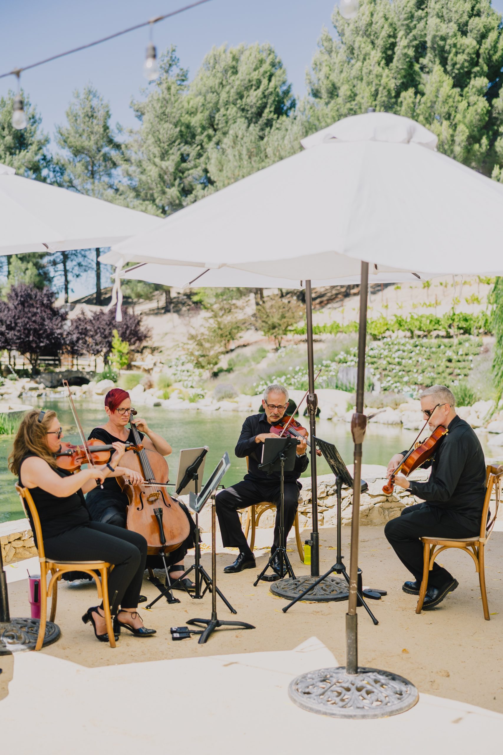 805 String Quartet Oliia and Joel