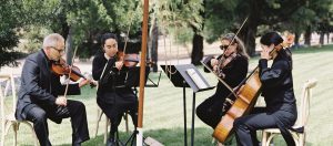 Cavali 805 String Quartet